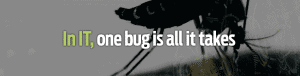 In IT, one bug is all it takes